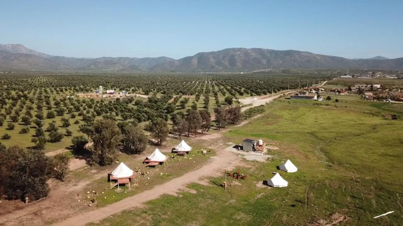Lago Valle Wine Glamping Valle de Guadalupe Exterior photo