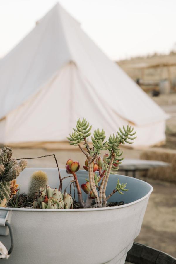 Lago Valle Wine Glamping Valle de Guadalupe Exterior photo